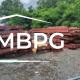 Used Metal Building Materials on Gravel